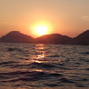 Toldos Selona